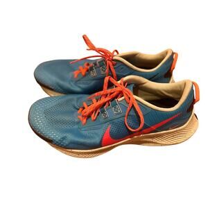 Nike Pegasus Trail 3 men’s trail running shoes DA8697-400 Size 11.5.